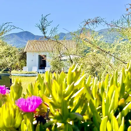 Villa Beachfront Stato Da Mar By Dadovillas